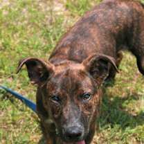 Thumbnail photo of John Boy #4