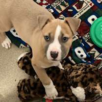 Thumbnail photo of Kai #2