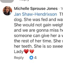 Thumbnail photo of Lady #2