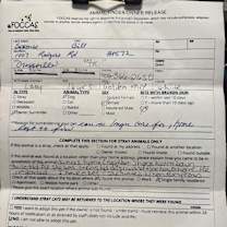 Thumbnail photo of Lady #3