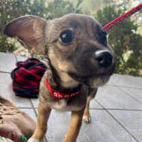 Thumbnail photo of Winter #2