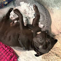 Thumbnail photo of Demi #2