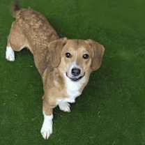 Thumbnail photo of Suzanne #2