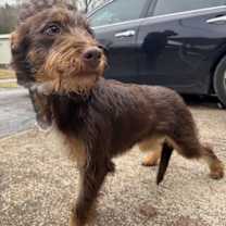 Thumbnail photo of RODDY #3