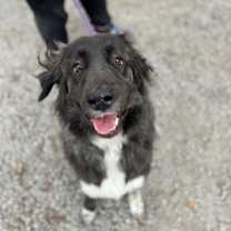 Thumbnail photo of Cherokee #3