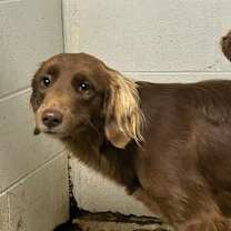 Thumbnail photo of Kyley #2