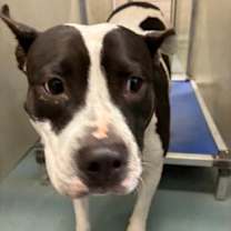 Thumbnail photo of Trinity #2