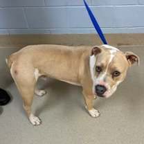 Thumbnail photo of 12/31/2025 #2