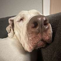 Thumbnail photo of Cowboy #1