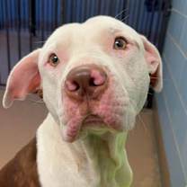 Thumbnail photo of George Bailey #2