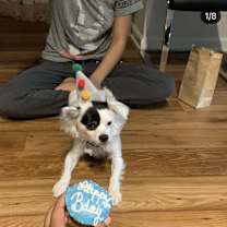 Thumbnail photo of Rome #4