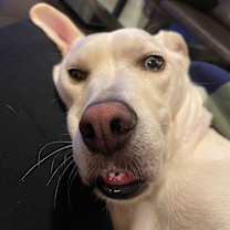 Thumbnail photo of Bob #2