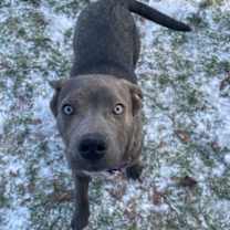 Thumbnail photo of Bert #2