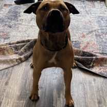 Thumbnail photo of Gabriel #3