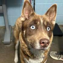 Thumbnail photo of River #3