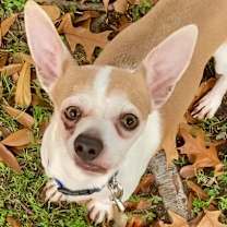 Thumbnail photo of Sideways #1