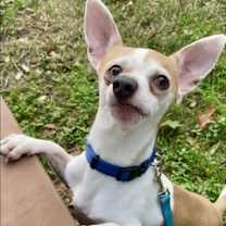 Thumbnail photo of Sideways #2