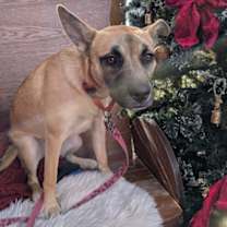 Thumbnail photo of Outfield #1