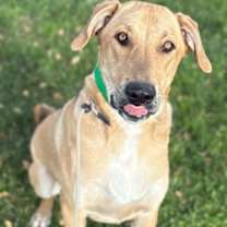 Thumbnail photo of Maverick #3