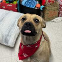 Thumbnail photo of Tantan #3