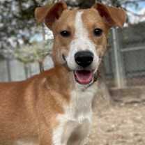 Thumbnail photo of Luka #2