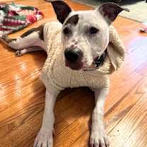 Thumbnail photo of Marceline #3