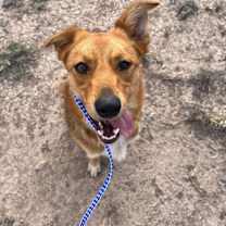 Thumbnail photo of Lola #3