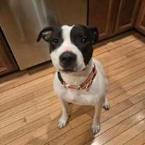 Thumbnail photo of Jonesy (Joe) #3