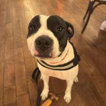 Thumbnail photo of Jonesy (Joe) #4