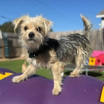 Thumbnail photo of Nicolas #2