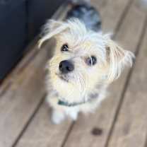 Thumbnail photo of Nicolas #3