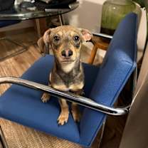 Thumbnail photo of Arnie #2