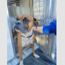 Thumbnail photo of Beacon #4