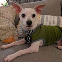 Thumbnail photo of Spike Lee #3