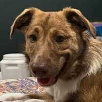 Thumbnail photo of Amy #2