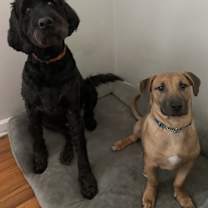 Thumbnail photo of Fillmore #2