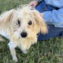 Thumbnail photo of Brittany Spears #2