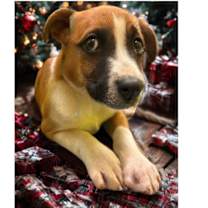 Thumbnail photo of KYRA #1