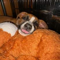 Thumbnail photo of KYRA #4