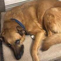 Thumbnail photo of Thelma #3