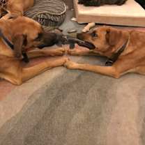 Thumbnail photo of Thelma #4