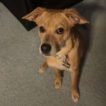 Thumbnail photo of Mac #2