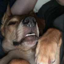 Thumbnail photo of Mac #3