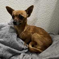 Thumbnail photo of Mirada #1