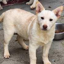 Thumbnail photo of Cloth #2