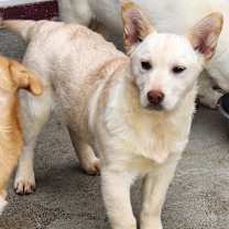 Thumbnail photo of Nymm #2