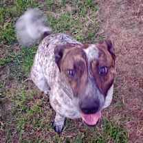 Thumbnail photo of Red #3