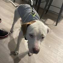 Thumbnail photo of Tres #2