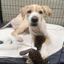 Thumbnail photo of Dancer #2