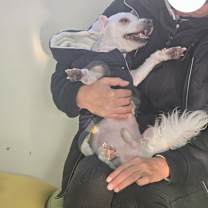 Thumbnail photo of Victor #3